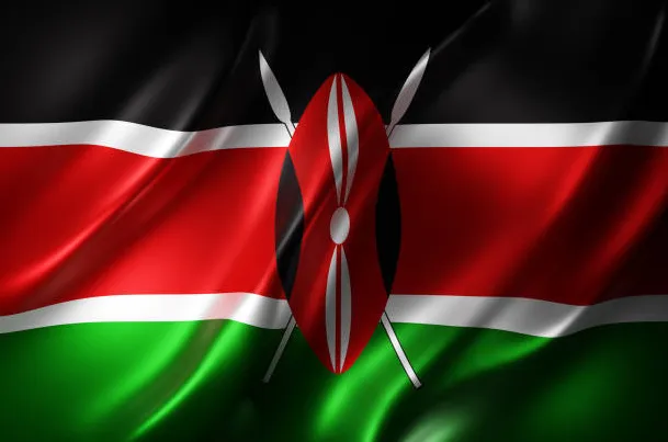 rickmedia: vijana-wawili-waliokanyaga-bendera-kenya-wafikishwa-mahakamani-591-rickmedia