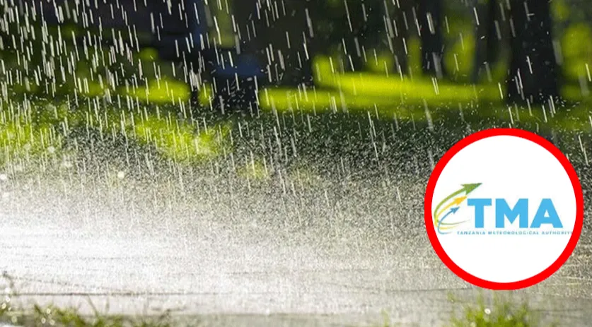 rickmedia: tma-yatabiri-mvua-kunyesha-siku-mfululizo-nchini-497-rickmedia